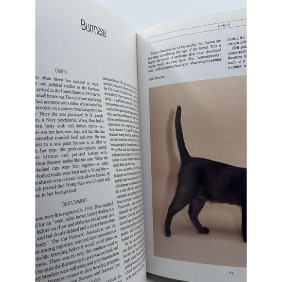 The Complete Cat Book Vintage Hardcover - Picture 7 of 15